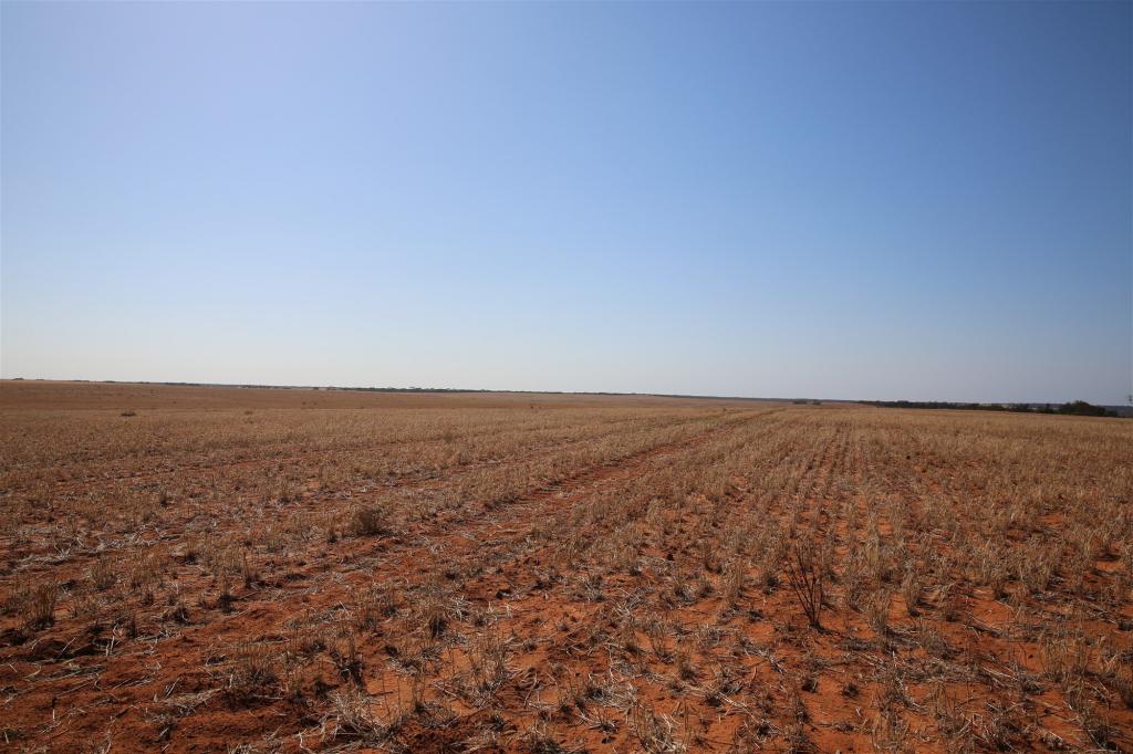 Contact Agent For Address, Monak, NSW 2738