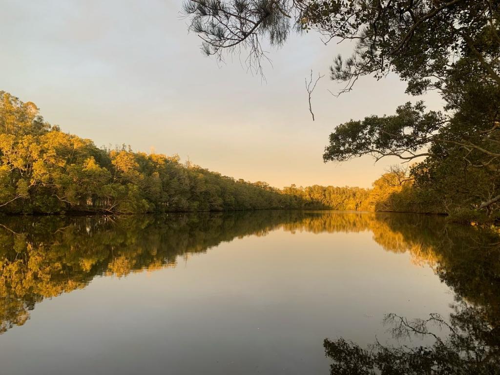 118 North Moto Rd, Moto, NSW 2426