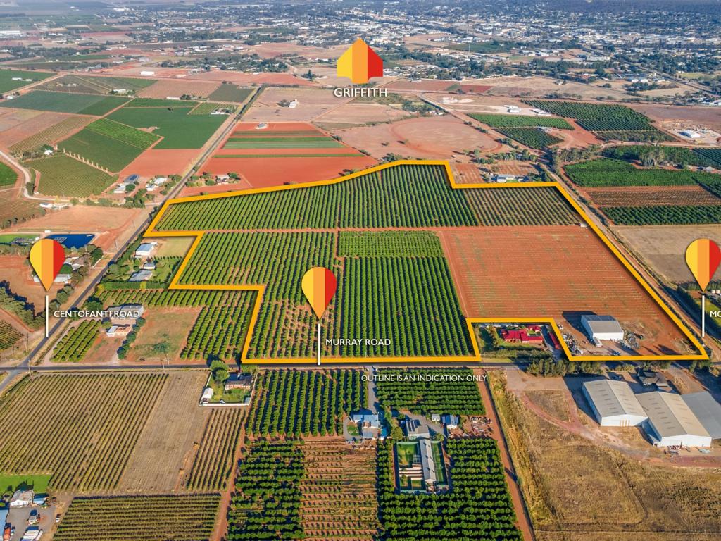 72 Murray Rd, Yoogali, NSW 2680