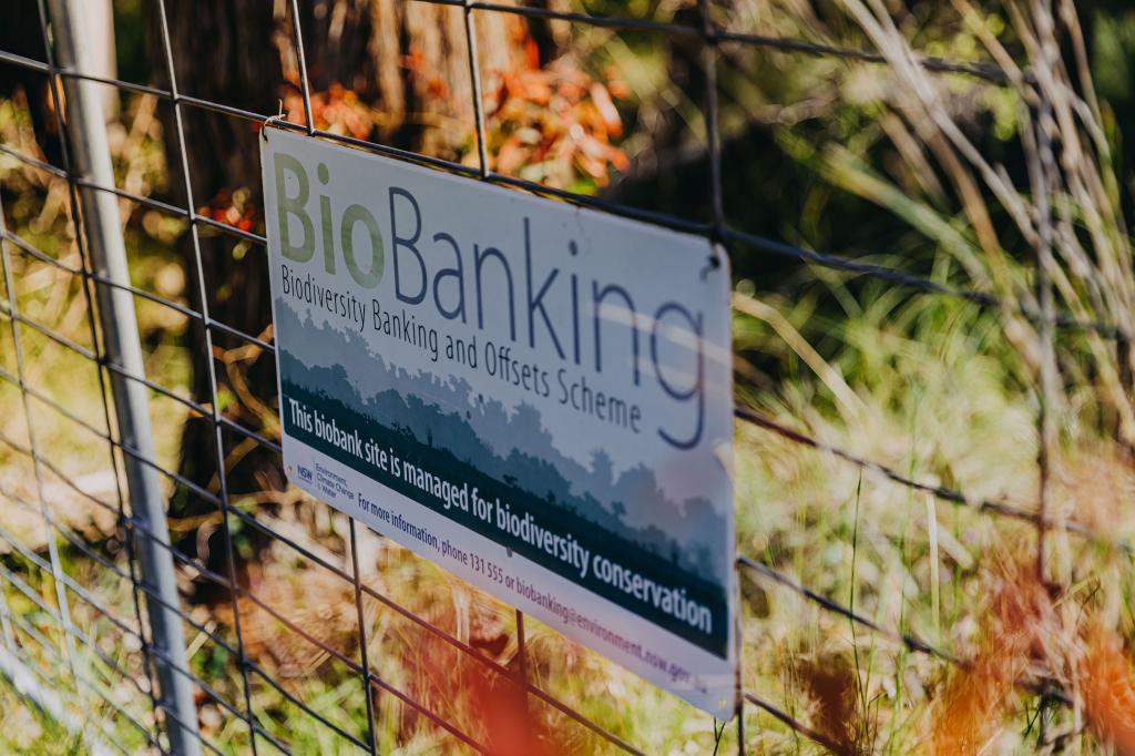 23 Uffington Rd, Duns Creek, NSW 2321