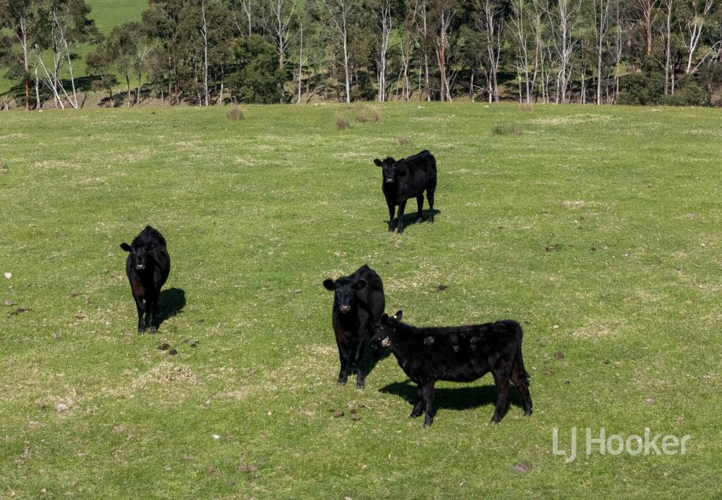 122 BLIGHTS RESERVE RD, WISTOW, SA 5251