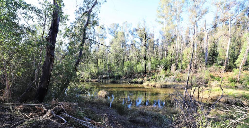 Lot 34, 35, 36 Monaro Hwy, Rockton, NSW 2632