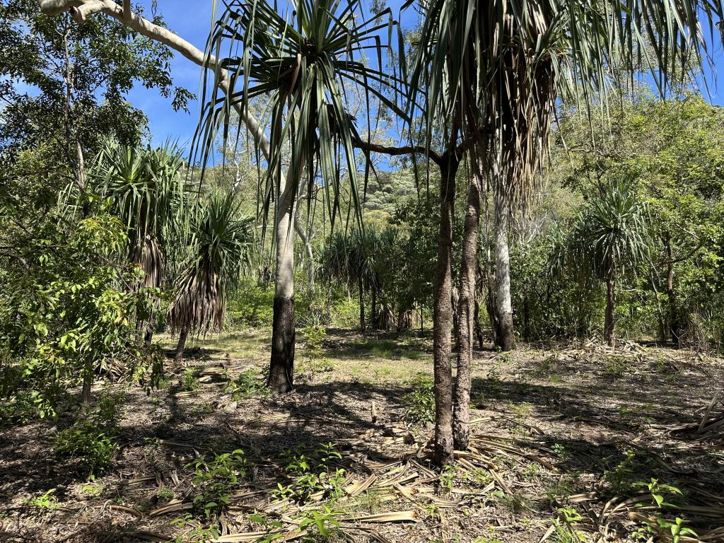 133 Horseshoe Bay Rd, Horseshoe Bay, QLD 4819