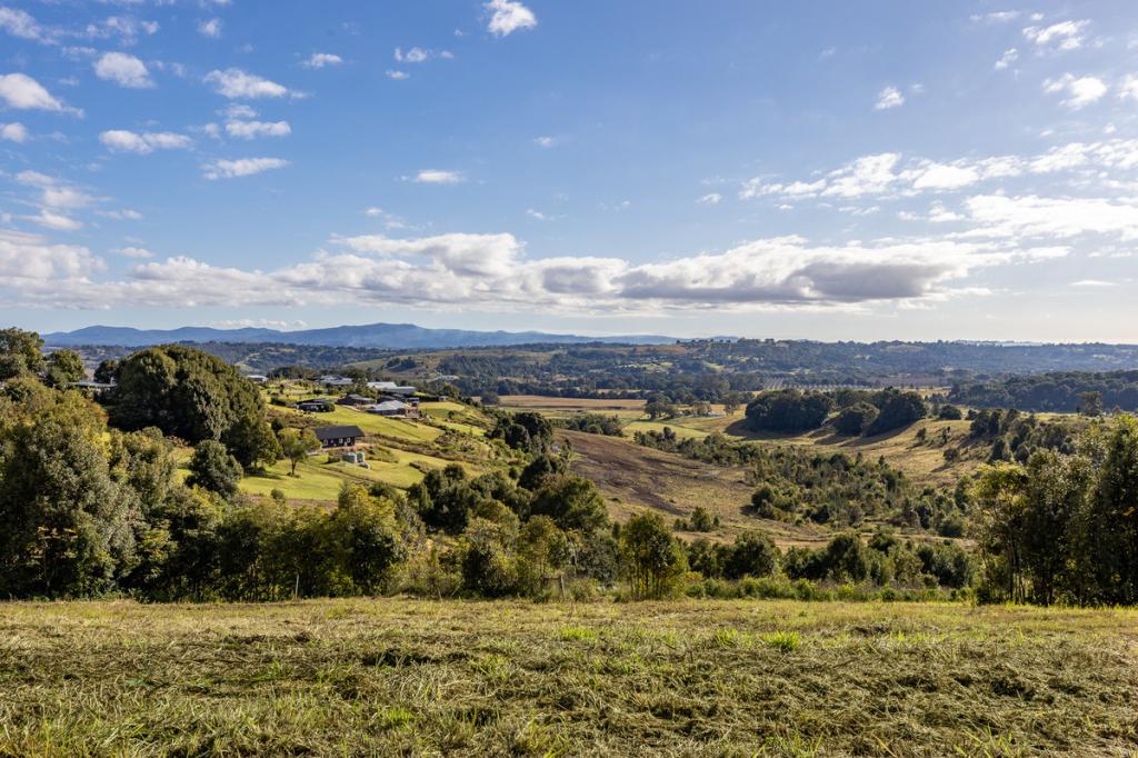 11 Talbot Cl, Mcleans Ridges, NSW 2480