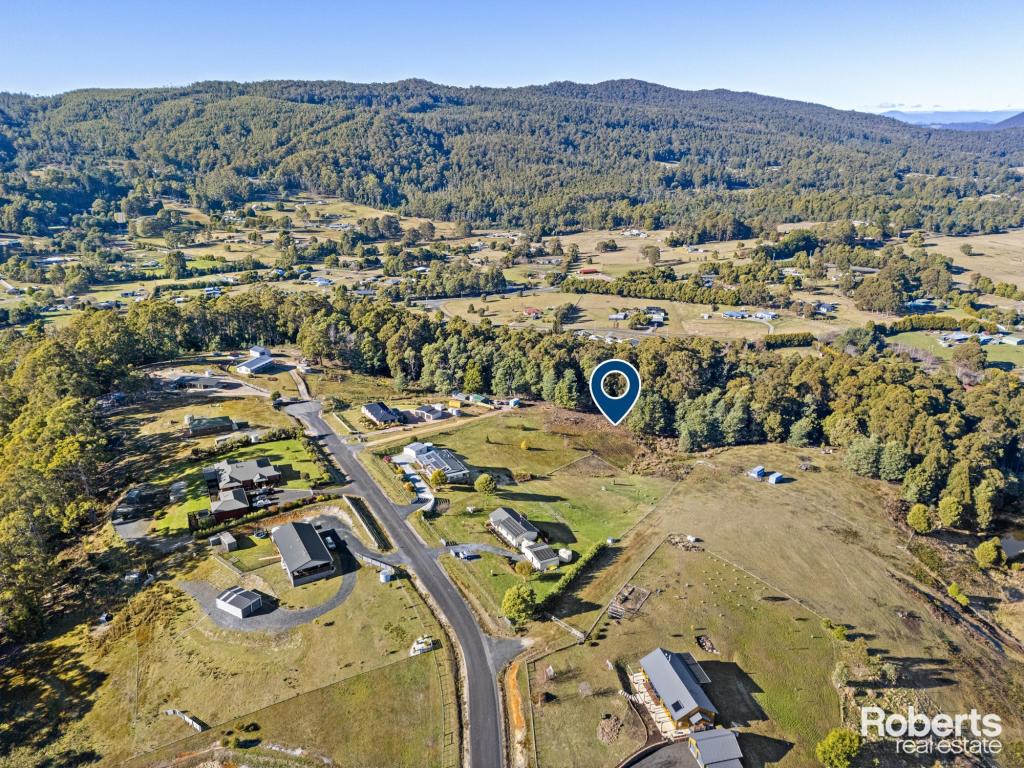 44 Roope Rd, Lower Barrington, TAS 7306