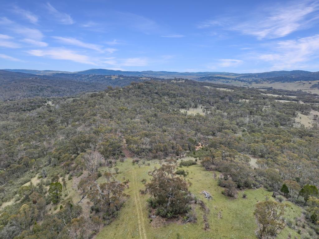 Lot 89, 77, 6 Tombong Rd, Tombong, NSW 2633