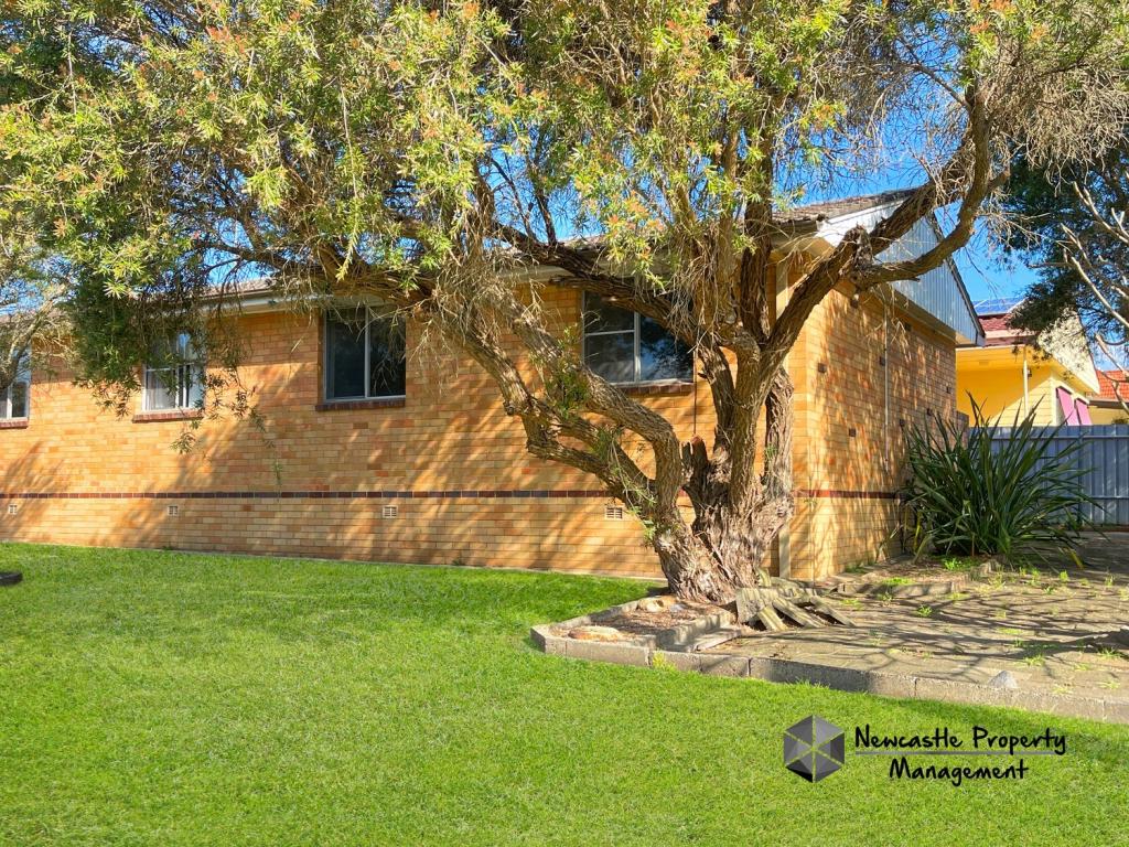 2/2 Bonarius St, Warners Bay, NSW 2282