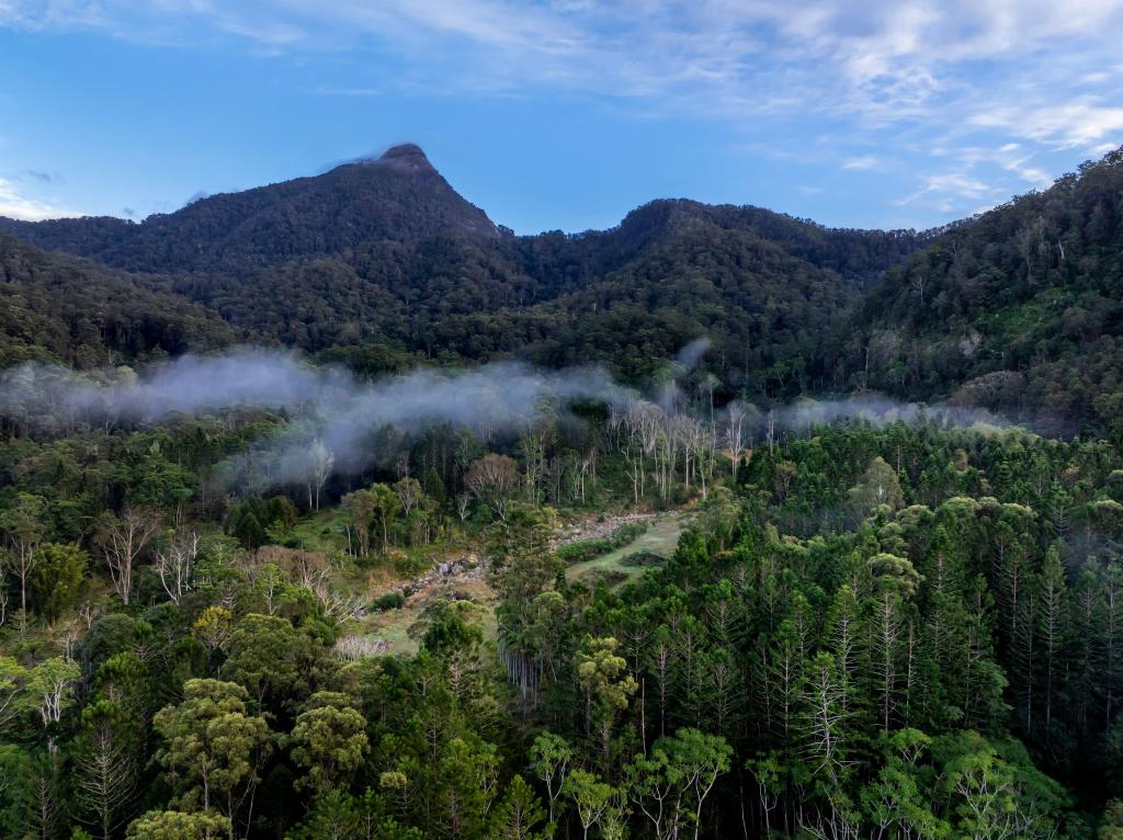 186 PALMERS RD, TERRAGON, NSW 2484