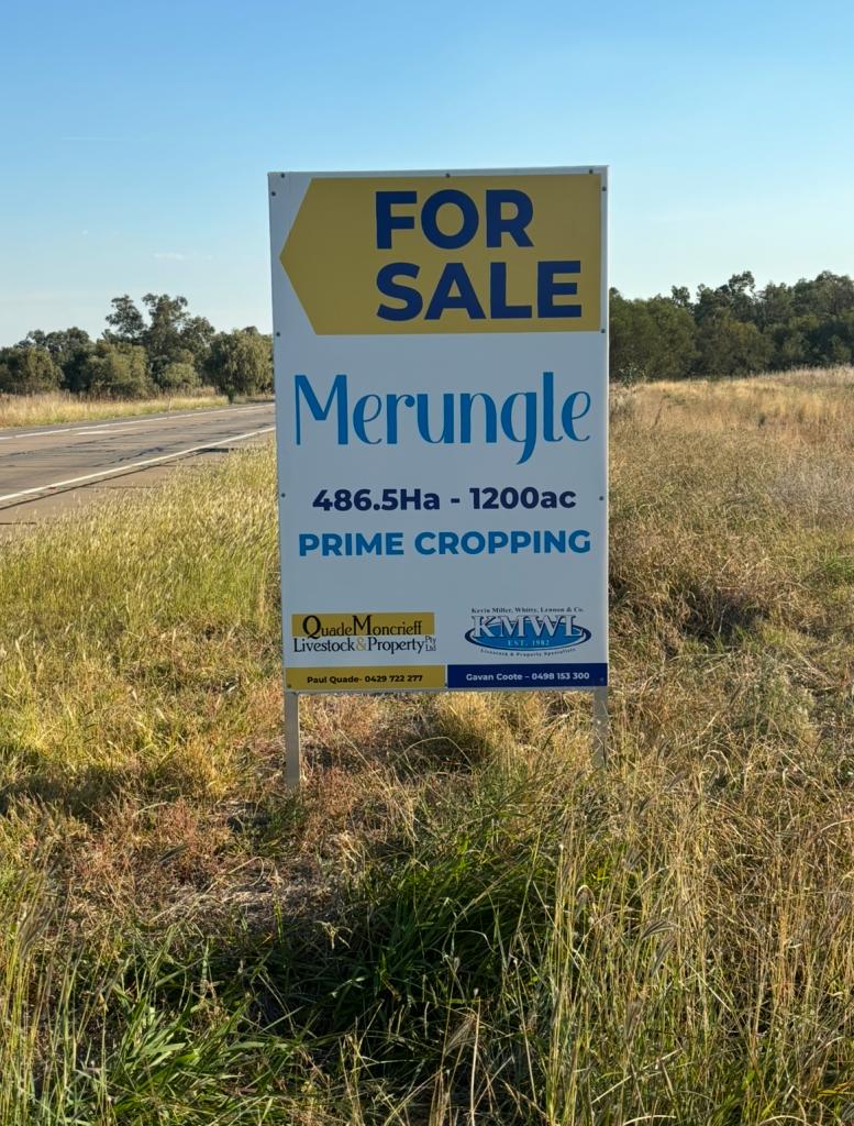 'Merungle' 6689 Mid Western Hwy, Marsden, West Wyalong, NSW 2671