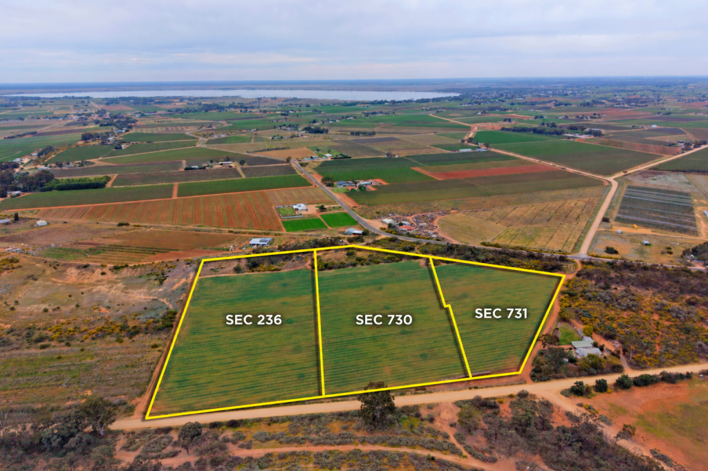 Sec 236, 730 & 731 Schell Rd, Loveday, SA 5345