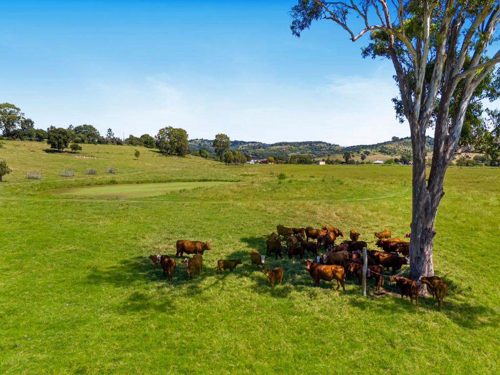 861 Lowood Minden Rd, Minden, QLD 4311