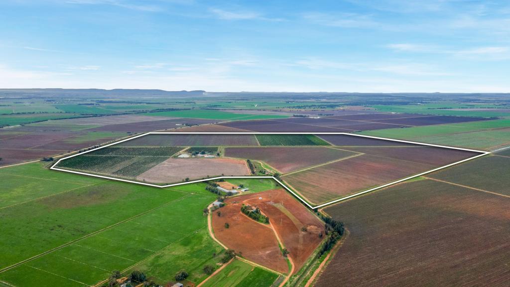 82 Murdoch Rd, Kooba, NSW 2680