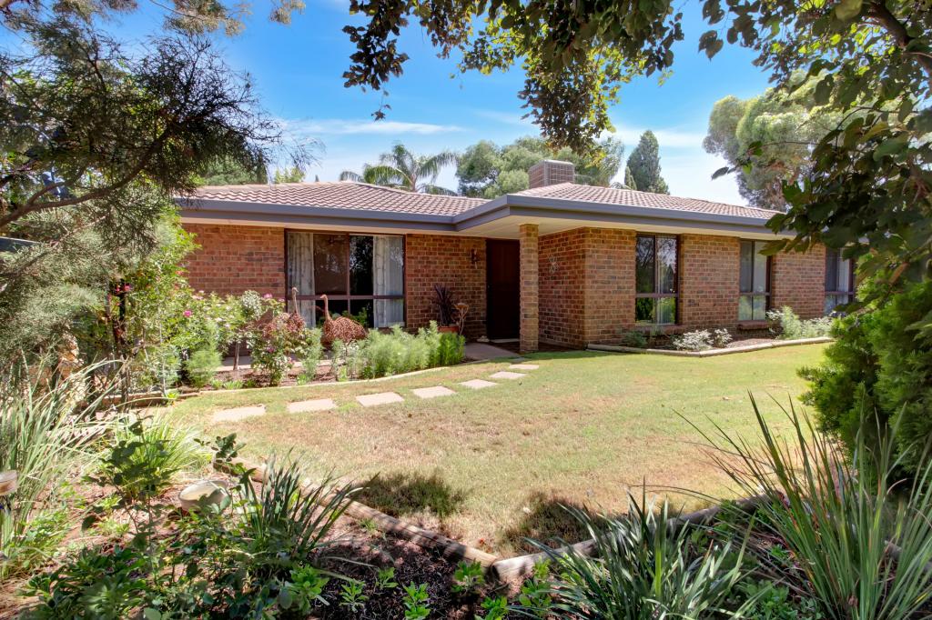 155 Dunstone Rd, Barmera, SA 5345