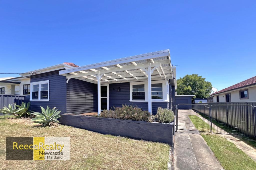 37 Catherine St, Waratah West, NSW 2298