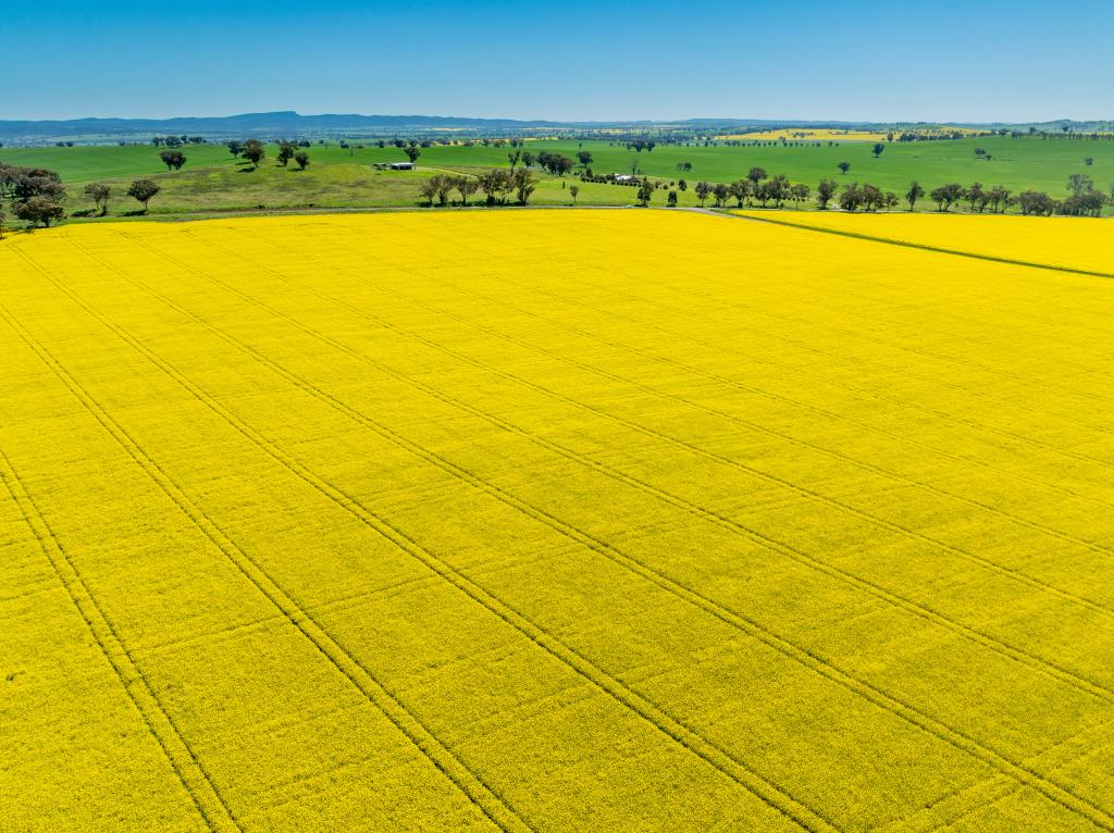 'Smiths' 5171 Cargo Rd, Canowindra, NSW 2804