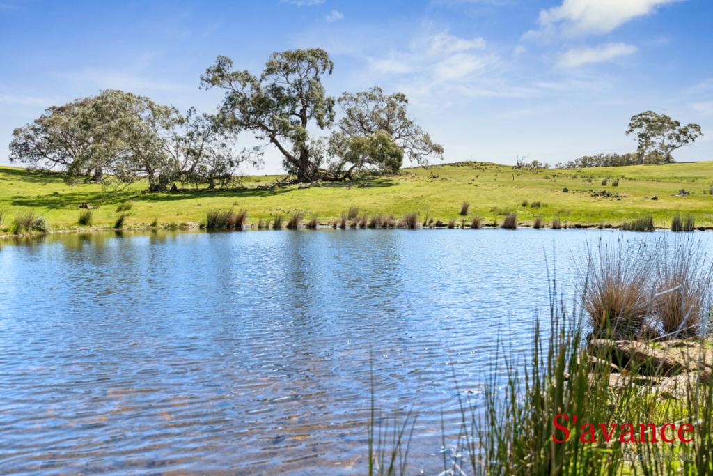 Lot 110 Schrapels Rd, Mount Pleasant, SA 5235