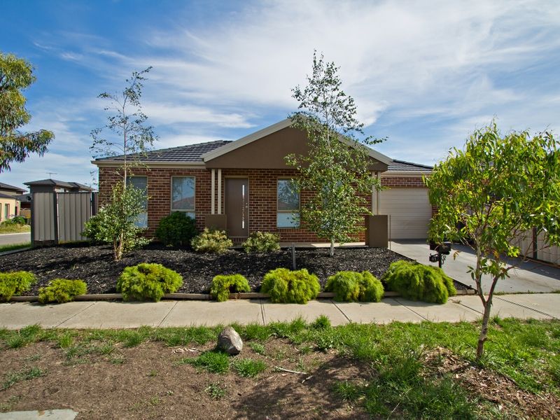 41 HORSESHOE CCT, TRUGANINA, VIC 3029