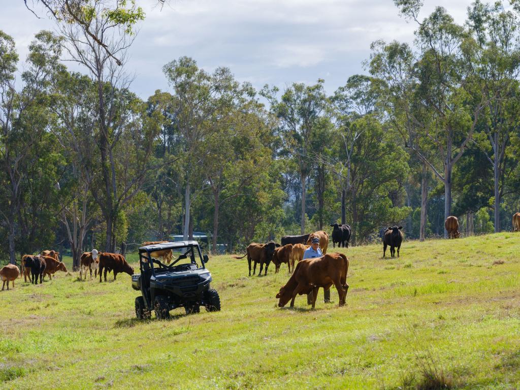 Contact Agent For Address, Tuchekoi, QLD 4570