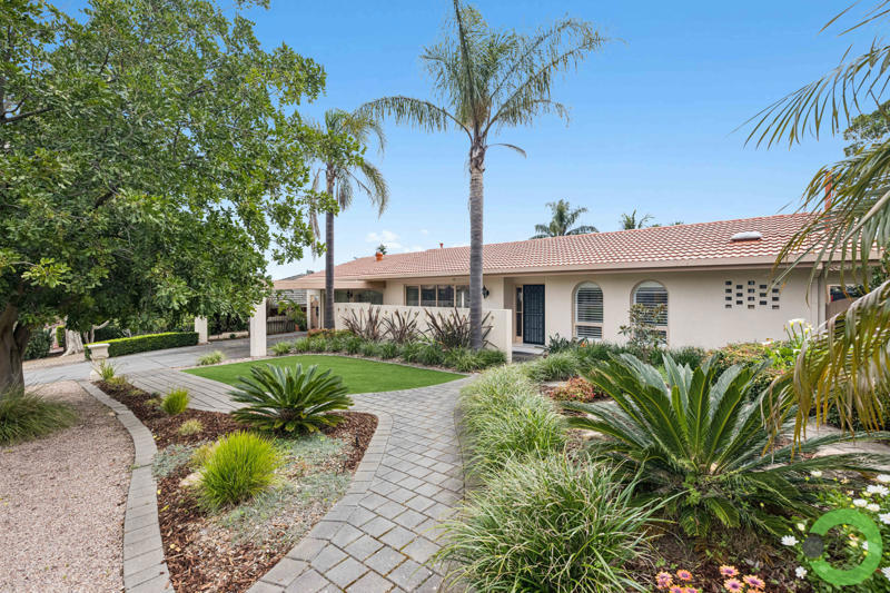 16 Toorak Ave, Bellevue Heights, SA 5050