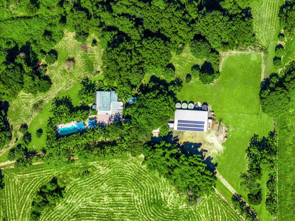61 Tallowood Rd, Lillian Rock, NSW 2480