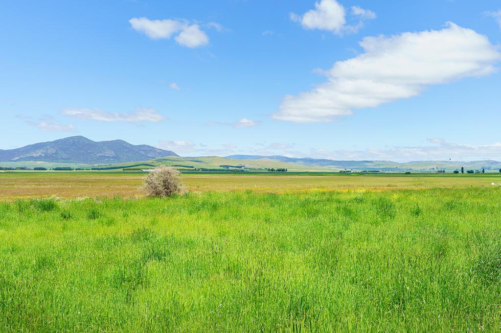 Lot 1 Foster St, Benambra, VIC 3900