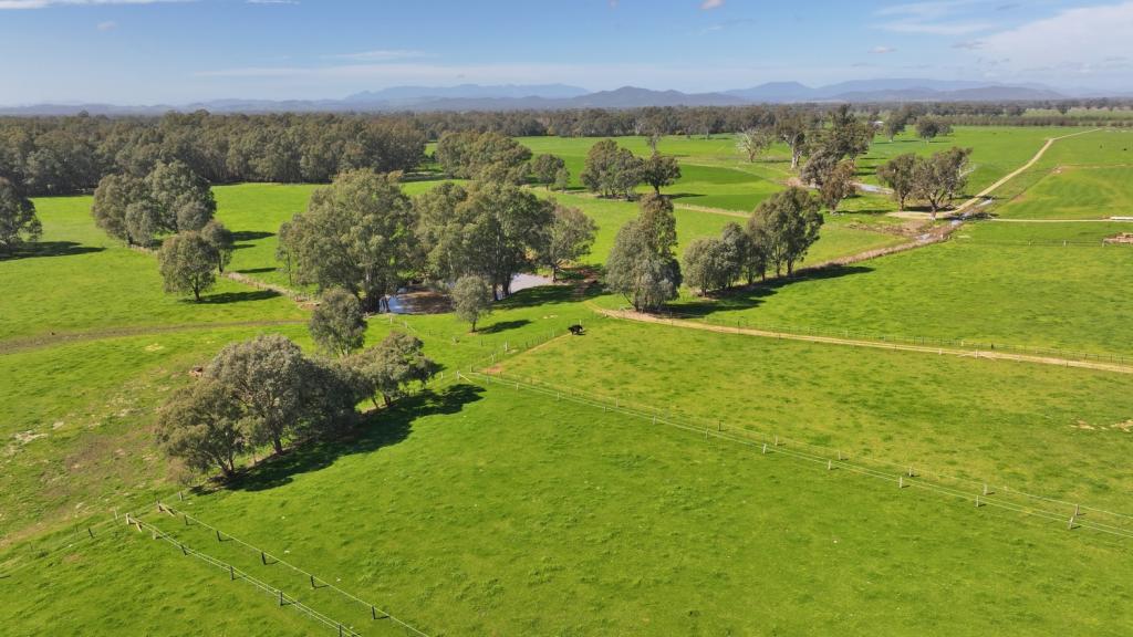 1613 Wangaratta Whitfield Rd, Oxley, VIC 3678