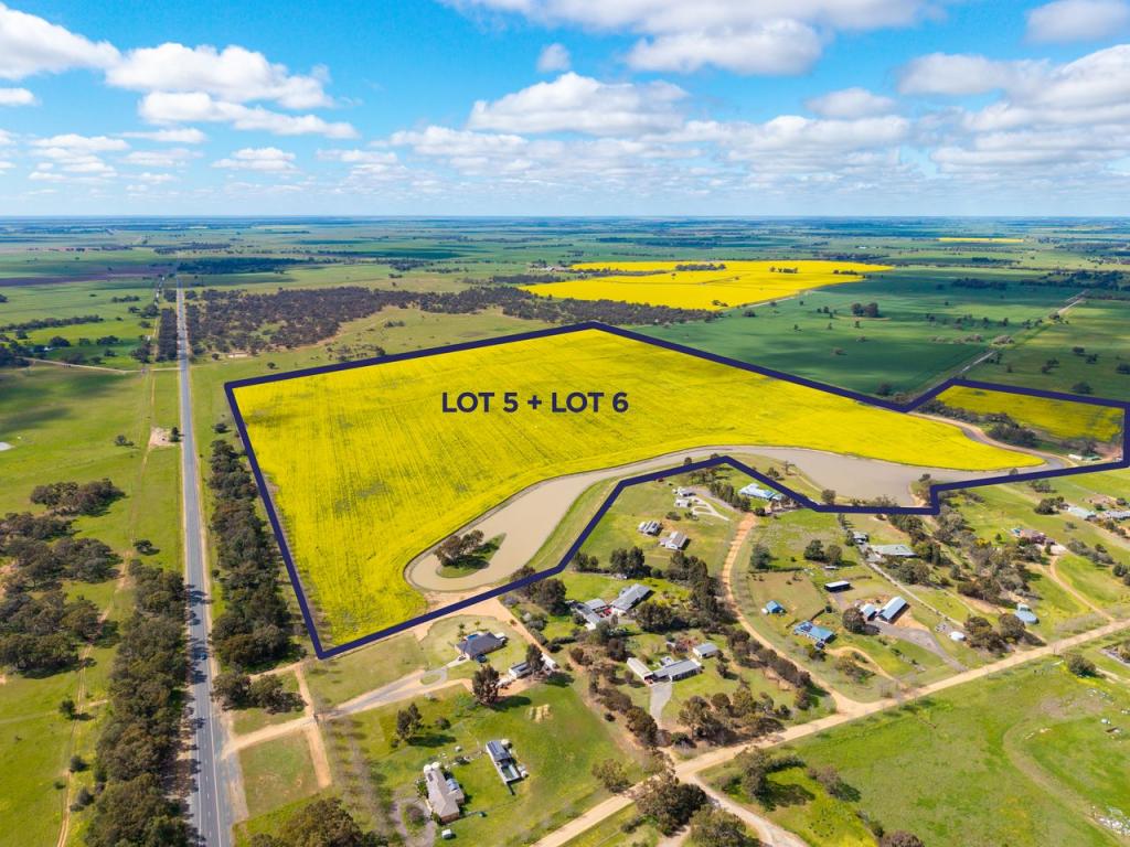 LOT 5 AND 6 DP270108 CONARGO RD, DENILIQUIN, NSW 2710