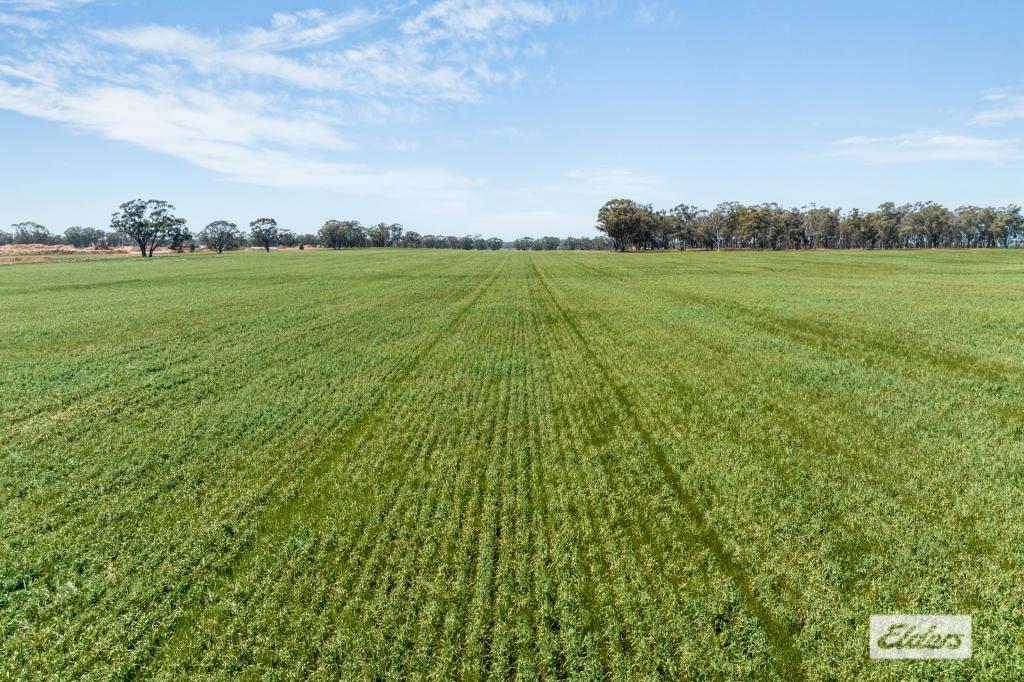 Laanecoorie-Newbridge Rd, Newbridge, VIC 3551
