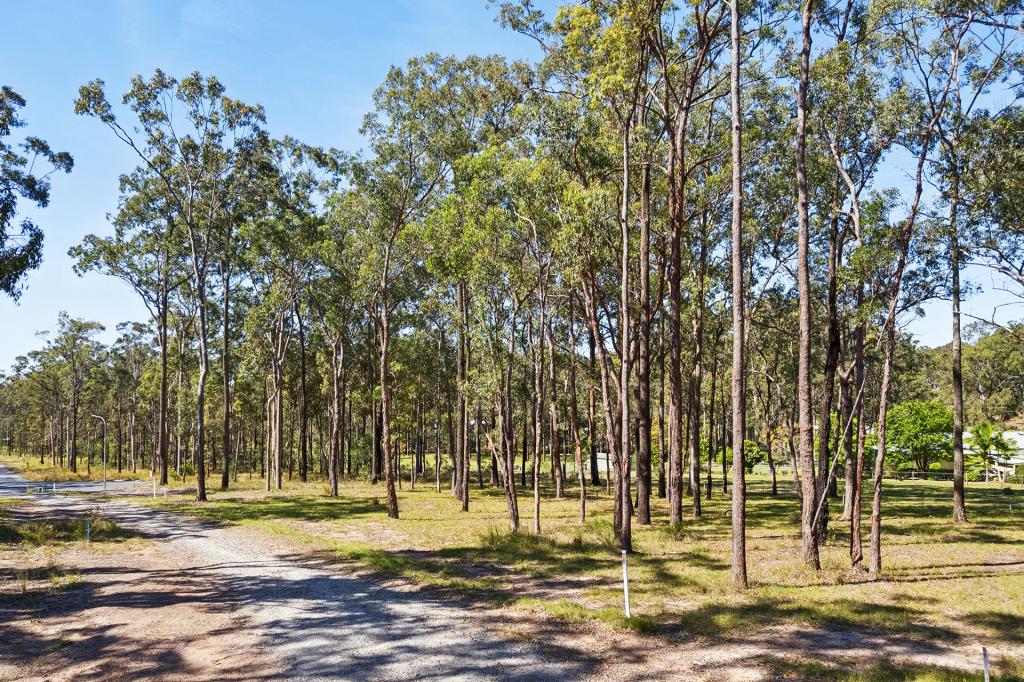 59 Bloodwood Gr, Gulmarrad, NSW 2463