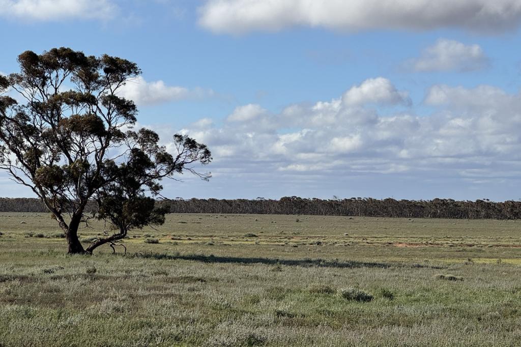 Section 93 Foote Rd, Brownlow, SA 5374