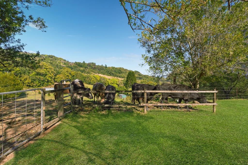 456 Eviron Rd, Eviron, NSW 2484