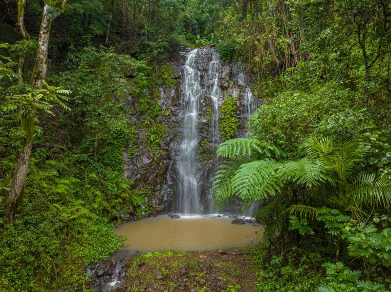 14 Weismantel Rd, Nimbin, NSW 2480