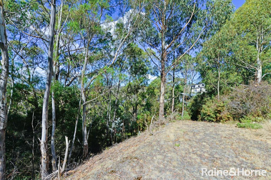 39 Woodcutters Rd, Tolmans Hill, TAS 7007