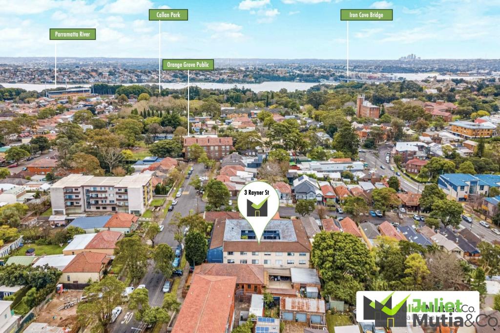 3 Rayner St, Lilyfield, NSW 2040