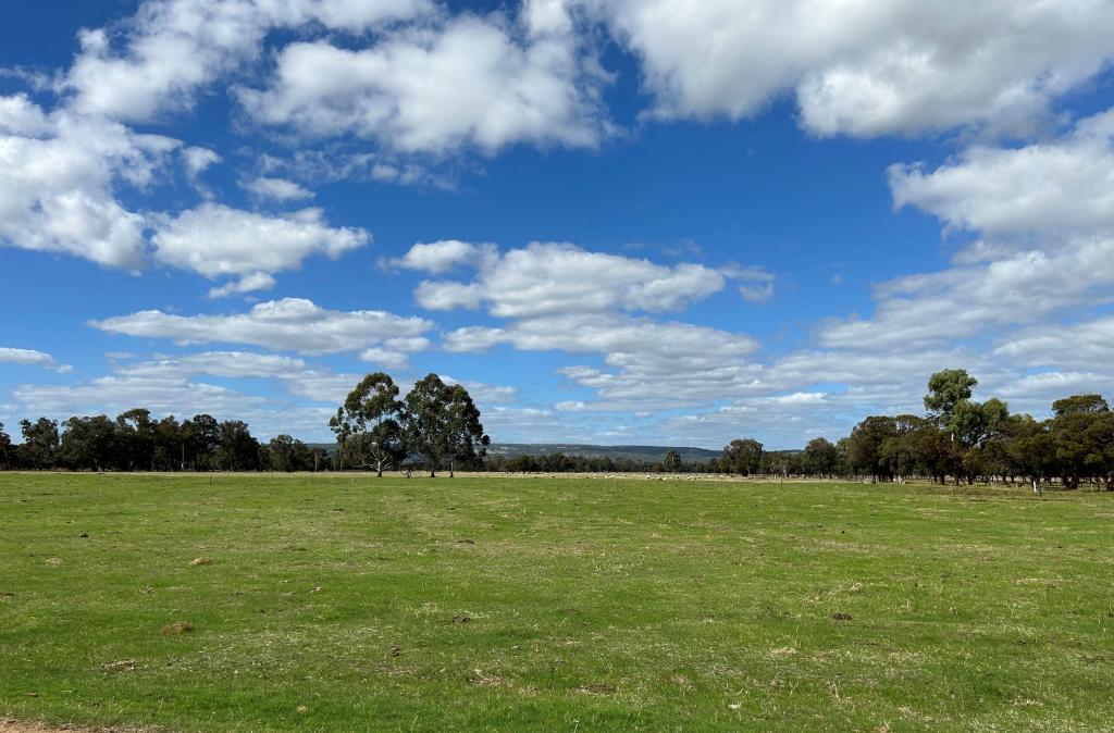 246 Government Rd, Harvey, WA 6220