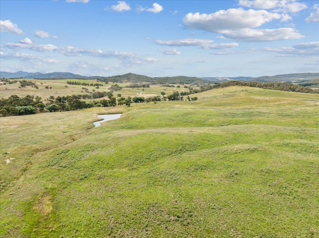 4436 Jerangle Rd, Anembo, NSW 2621