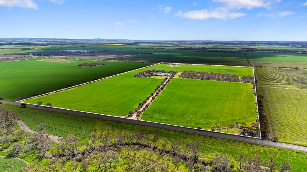 2191 Langhorne Creek Rd, Langhorne Creek, SA 5255