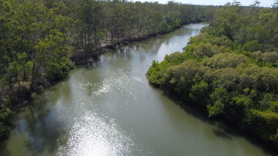 310 MOLLENHAGENS RD, WINFIELD, QLD 4670