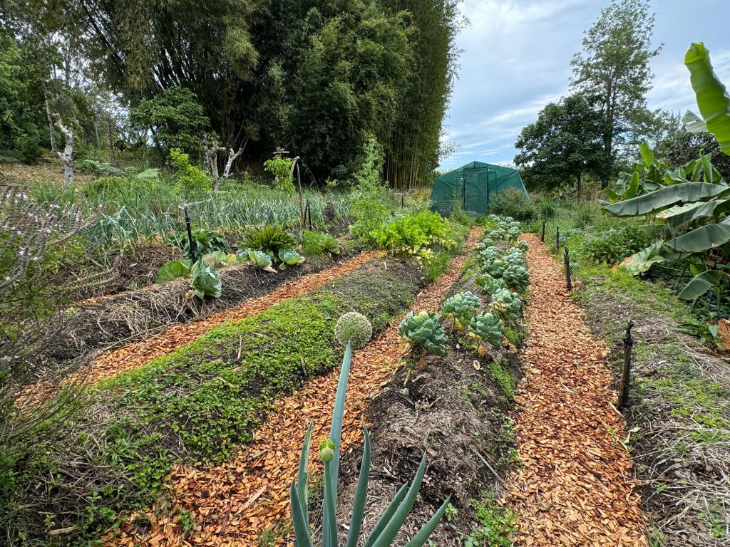 Share D5/1158 Pinchin Rd, The Channon, NSW 2480