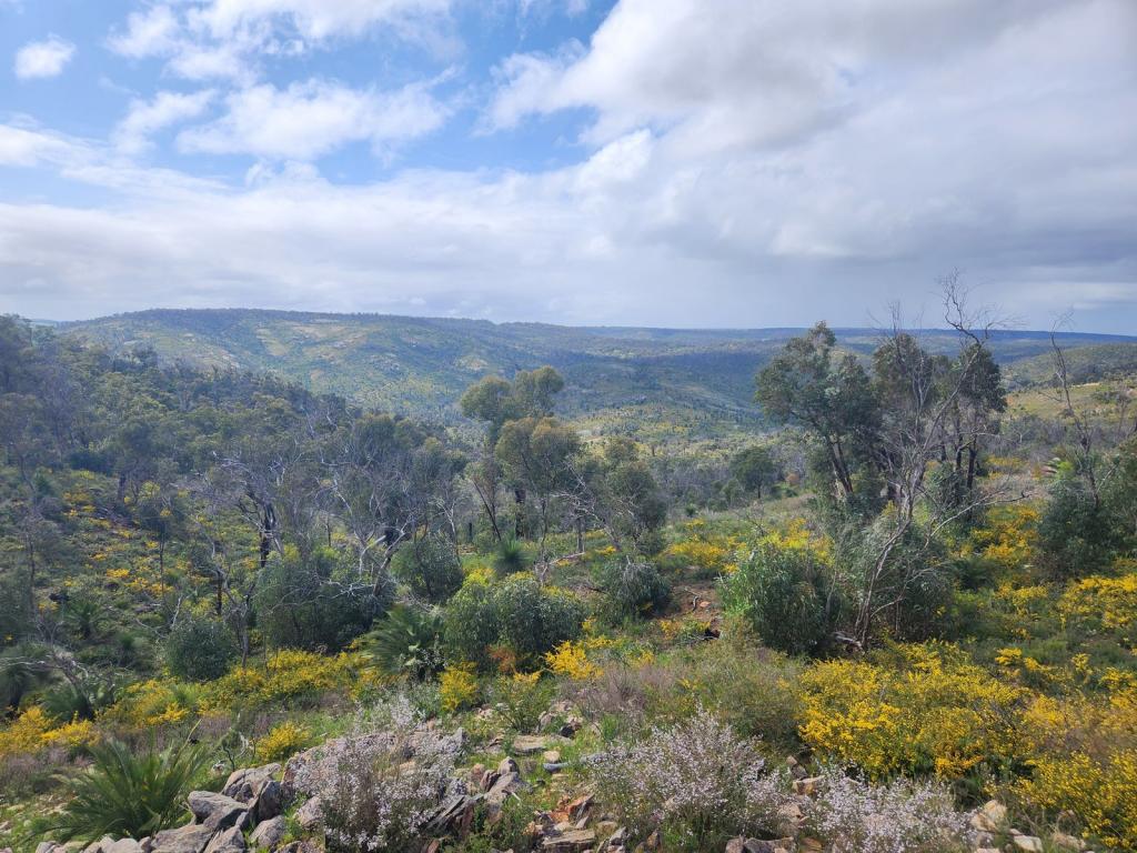 286 Eucalypt Rise, Brigadoon, WA 6069