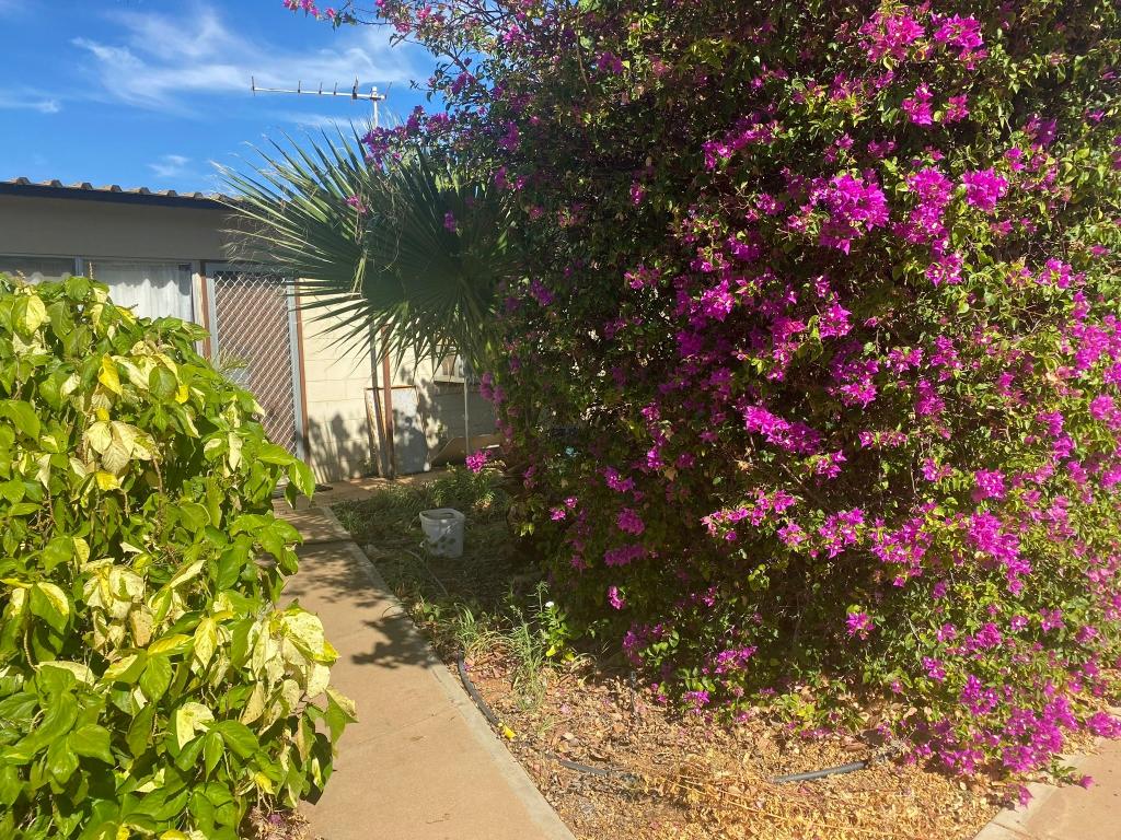 7/16 Brown St, South Carnarvon, WA 6701