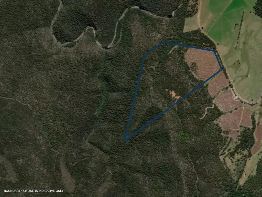 Lot 13/524 Rosedale Rd, Bicheno, TAS 7215