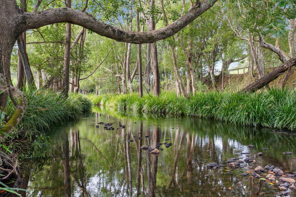 160 Upper Crystal Creek Rd, Upper Crystal Creek, NSW 2484