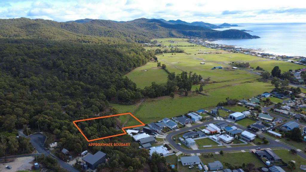 LOT 19 BANKSIA AVE, SISTERS BEACH, TAS 7321