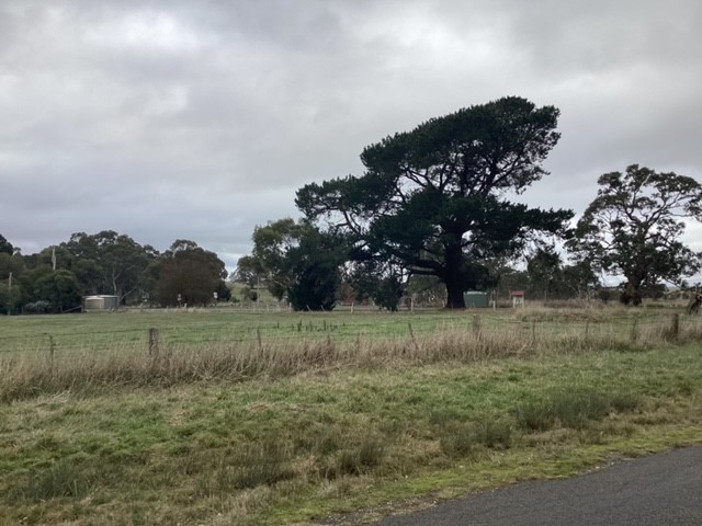 1233 Waubra-Talbot Rd, Evansford, VIC 3371