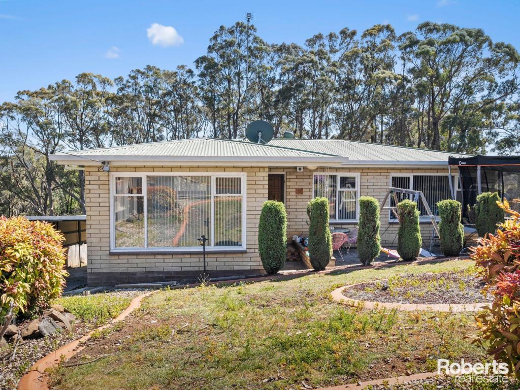 8 Pine Pl, Devonport, TAS 7310