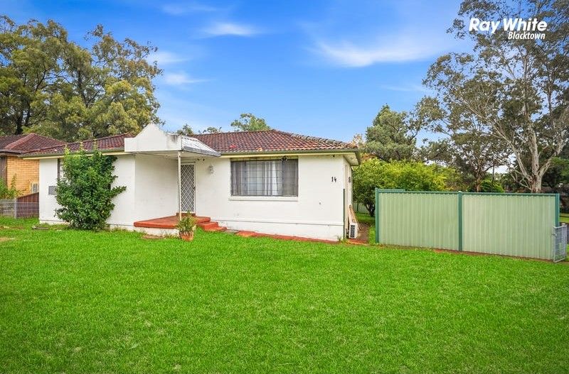 14 Warren St, Quakers Hill, NSW 2763