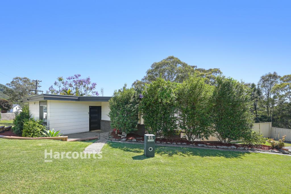 65 Brendon Ave, Farmborough Heights, NSW 2526