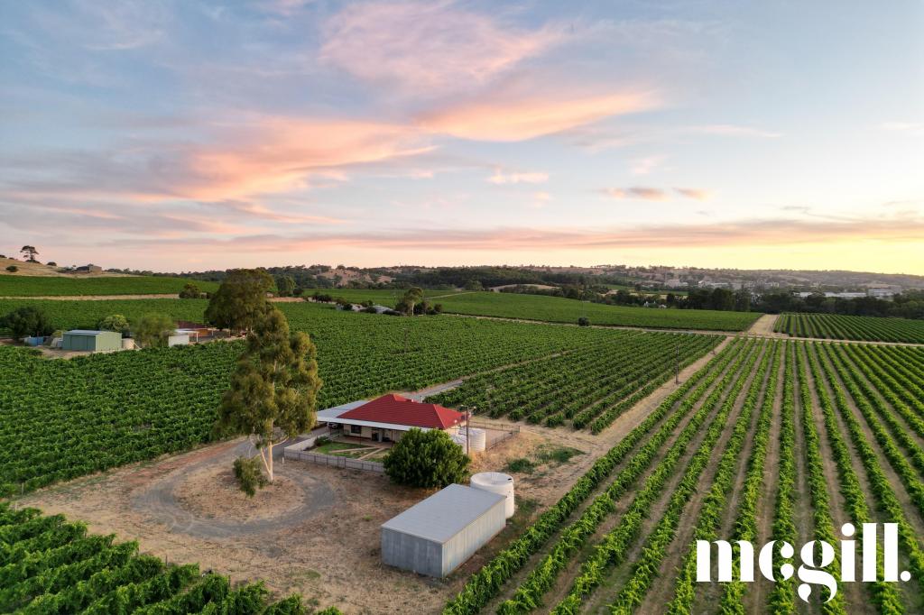 261 Saleyards Rd, Penrice, SA 5353