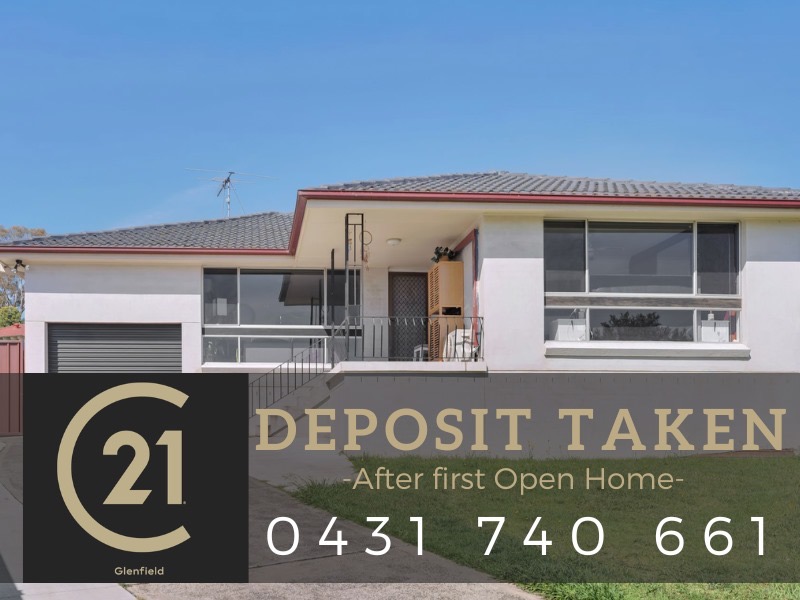 6 RAY PL, MINTO, NSW 2566